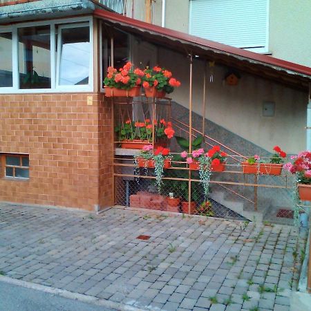 Apartment Janja Vojnik Zewnętrze zdjęcie