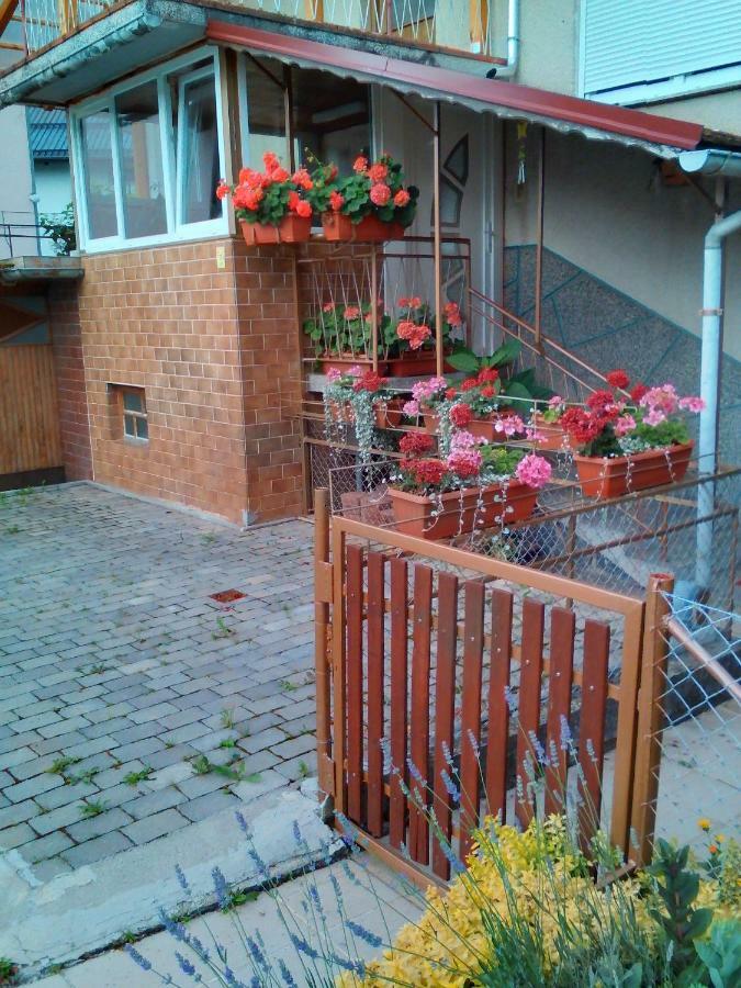 Apartment Janja Vojnik Zewnętrze zdjęcie