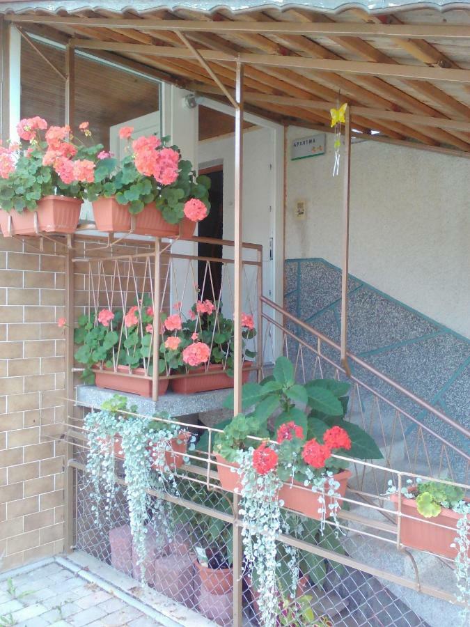 Apartment Janja Vojnik Zewnętrze zdjęcie