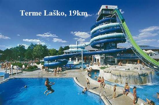 Apartment Janja Vojnik Zewnętrze zdjęcie