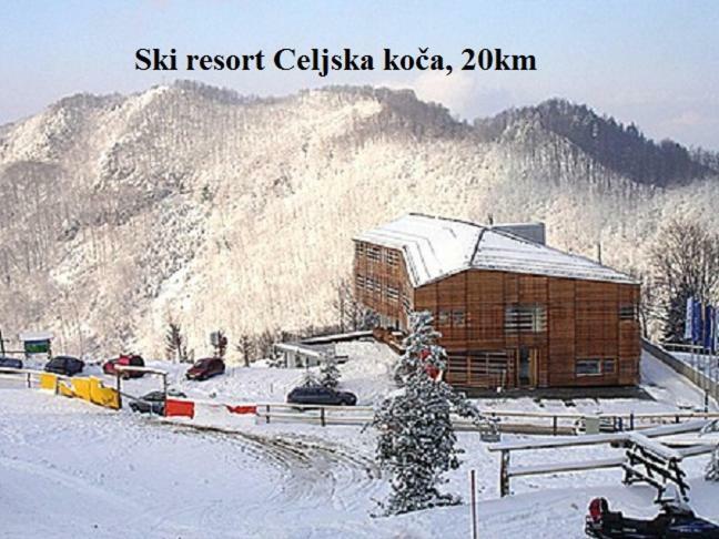 Apartment Janja Vojnik Zewnętrze zdjęcie